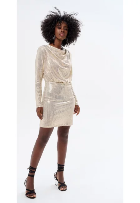 Elima Mini Dress With Shinee Aspect