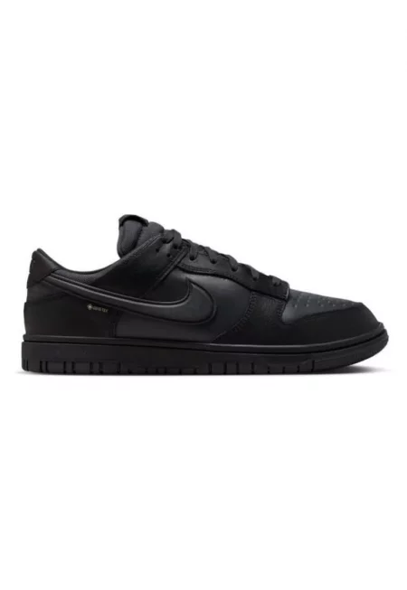 Мъжки спортни обувки  dunk low gtx - HQ2053-001