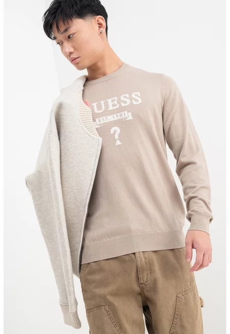 Пуловер с лого